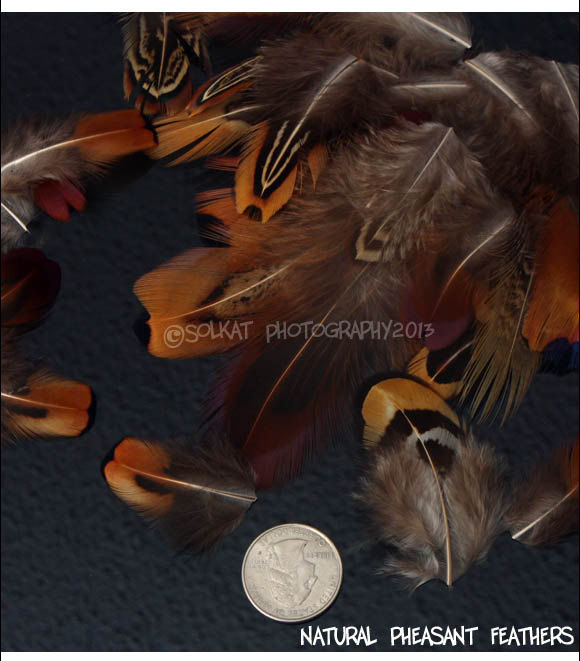 Small Pheasant Feathers for Crafts Bulk Wholesale 60pcs