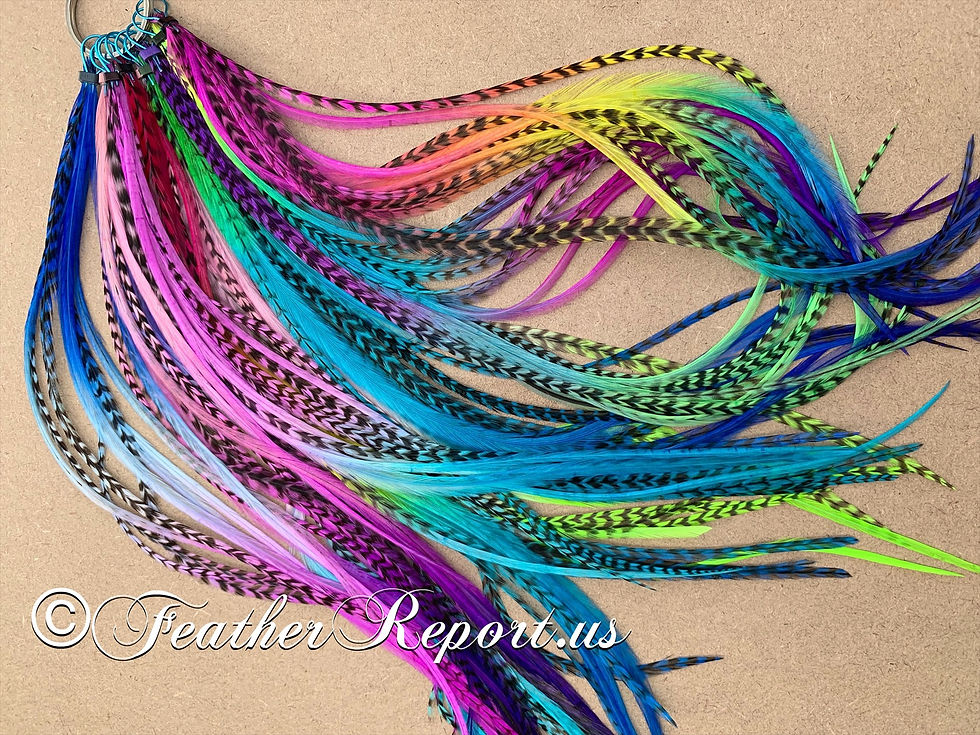 Long Rainbow Hair Feathers Extensions 200 Real Feathers for Hair or Crafts