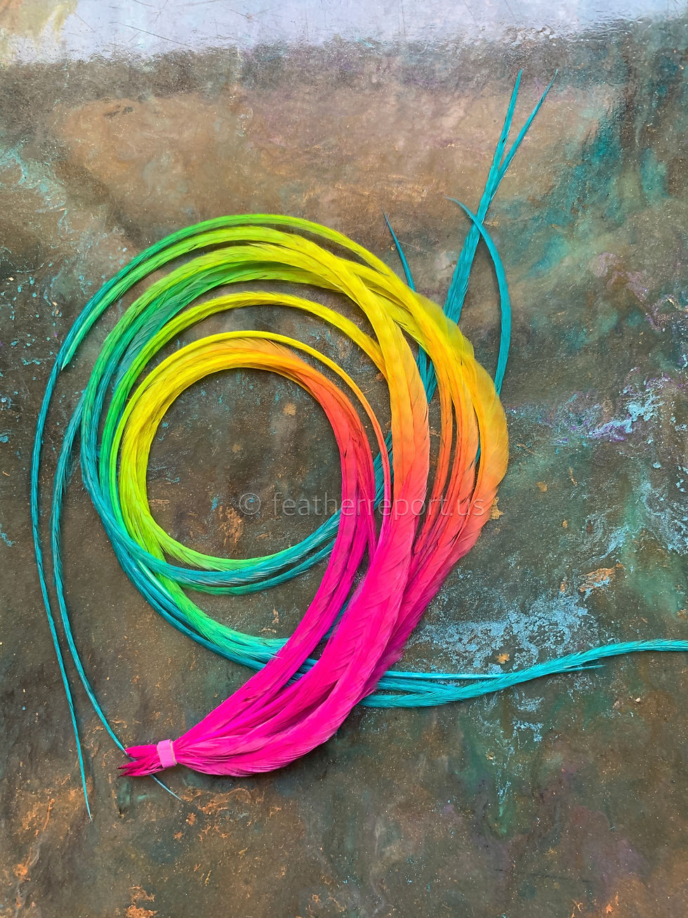 Thumbnail: 14 FLAWED rainbow rooster hair feathers has booboos XXL 11-16inch