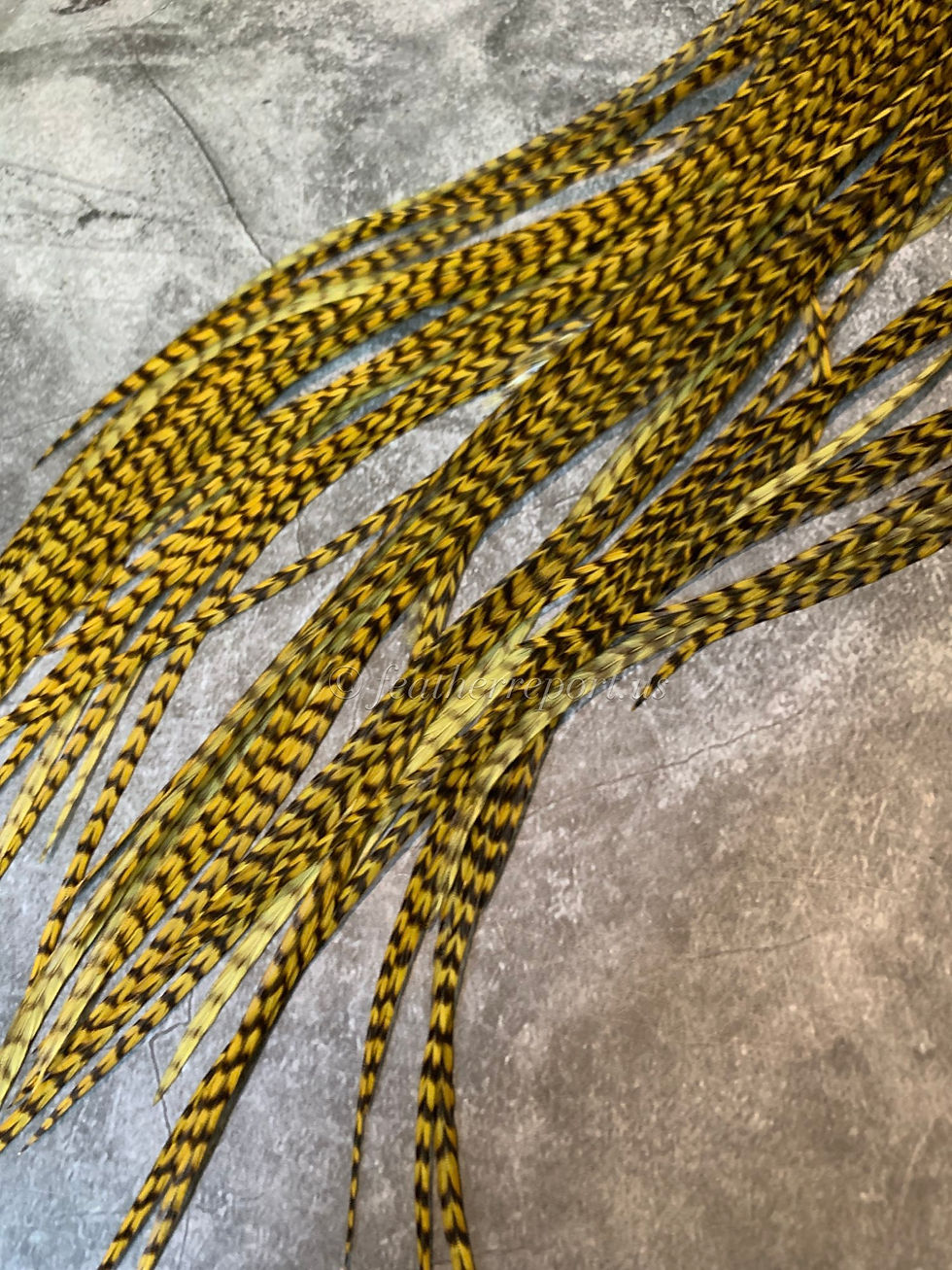 Thumbnail: Golden Olive Hair Feather Extensions  - Natural Color Grizzly Rooster Feathers