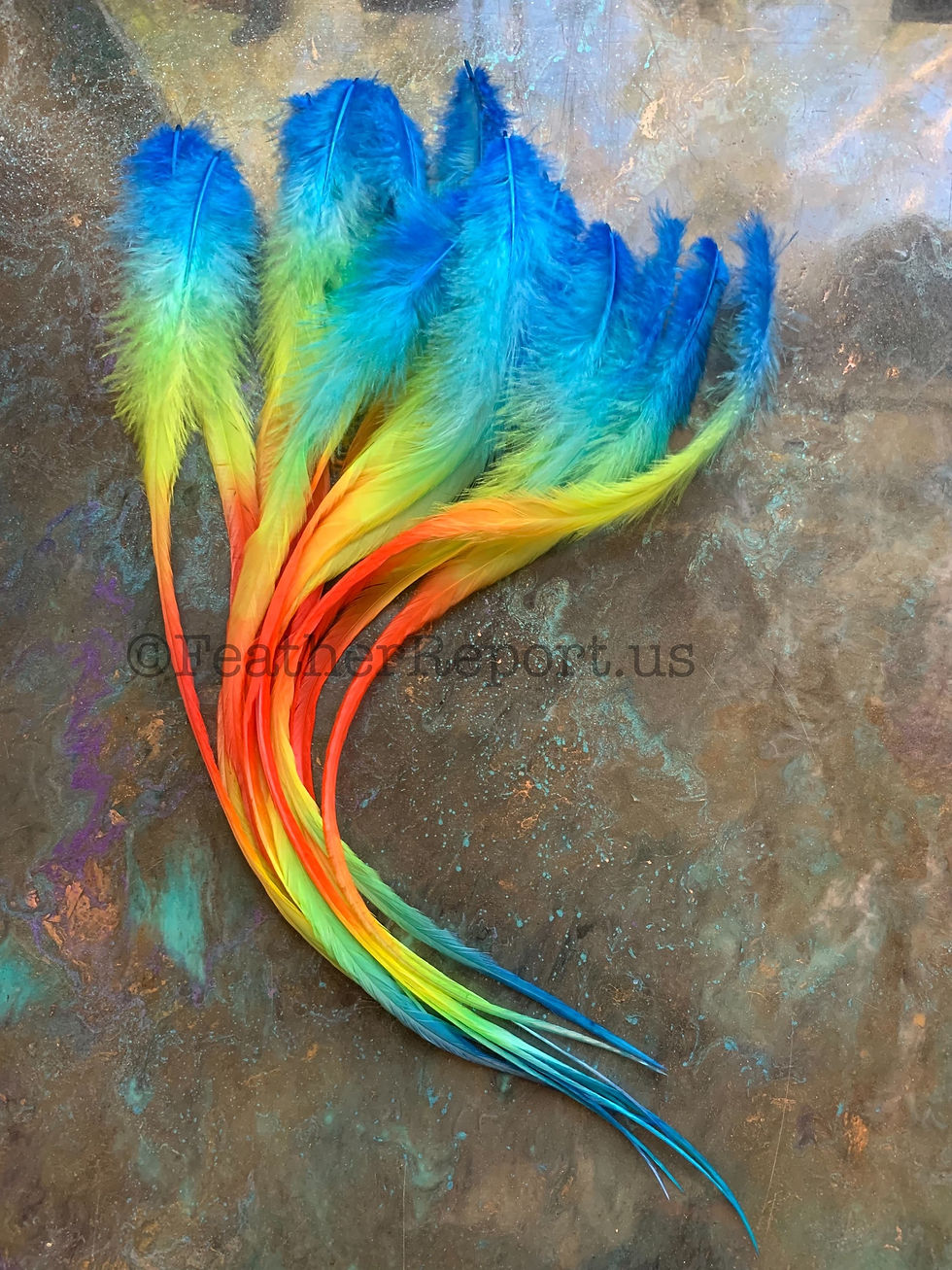 Thumbnail: Ombre Rainbow Craft Feathers Exotic Extra Long Fluffy Hair and Craft Feathers 15