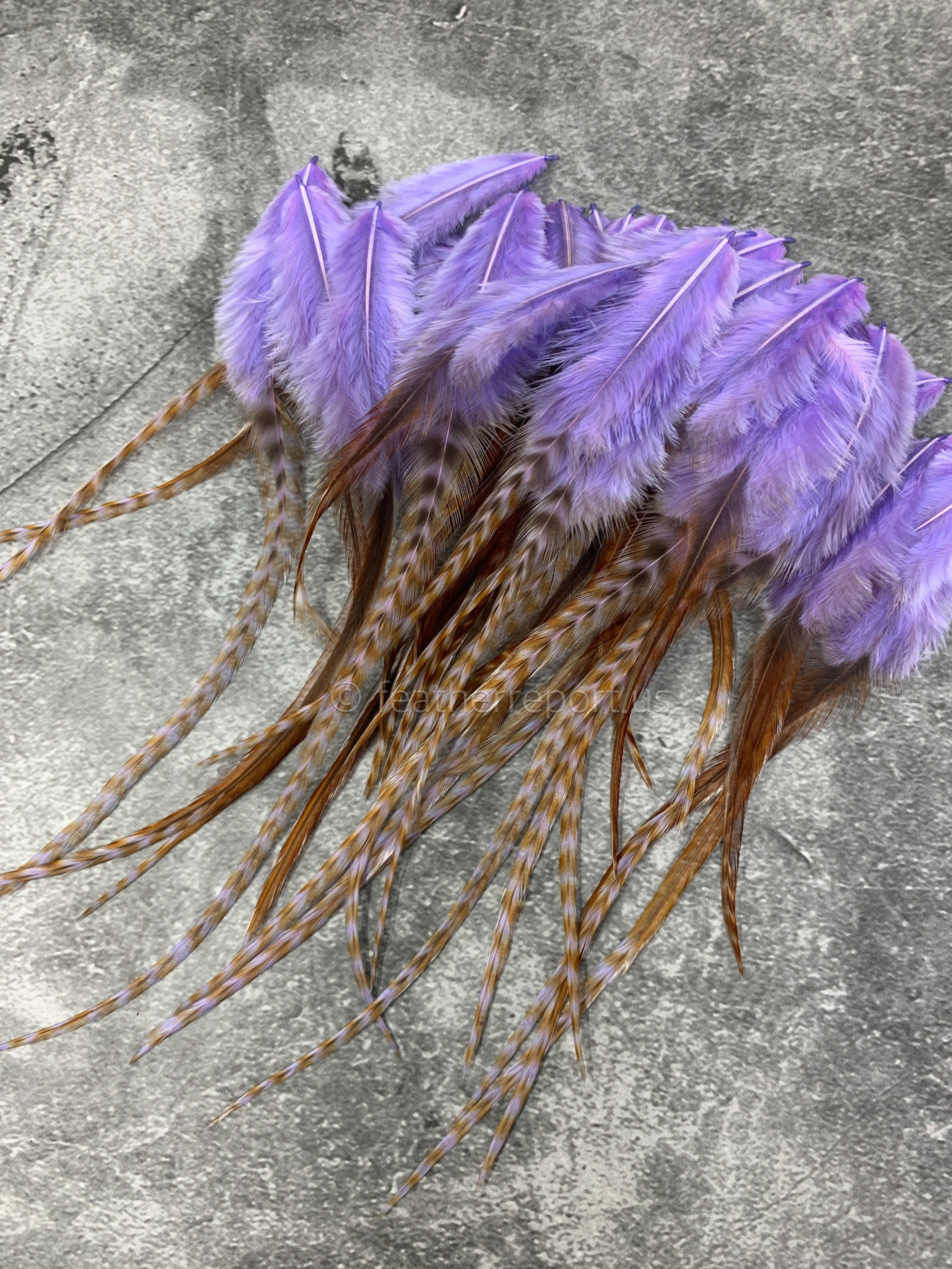 Poppy purple rooster feathers bulk Craft supplies 
