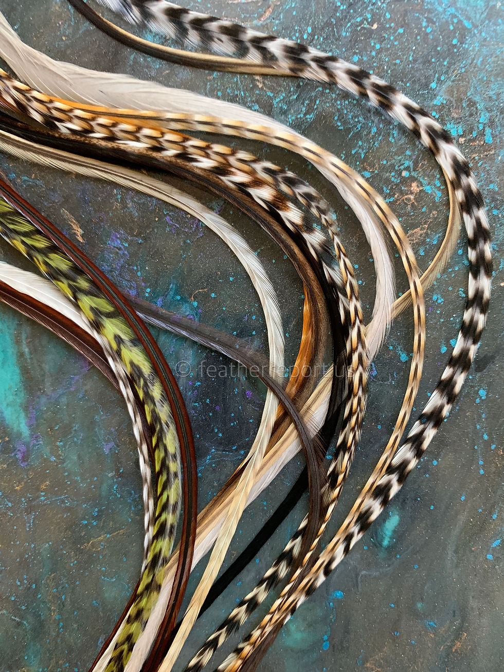 Thumbnail: Natural Hair Feather Extensions Grizzly Variants XXL Rooster Feathers in Picture