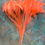 Thumbnail: Bulk Rooster Feathers - Deep Orange - Ready2Ship