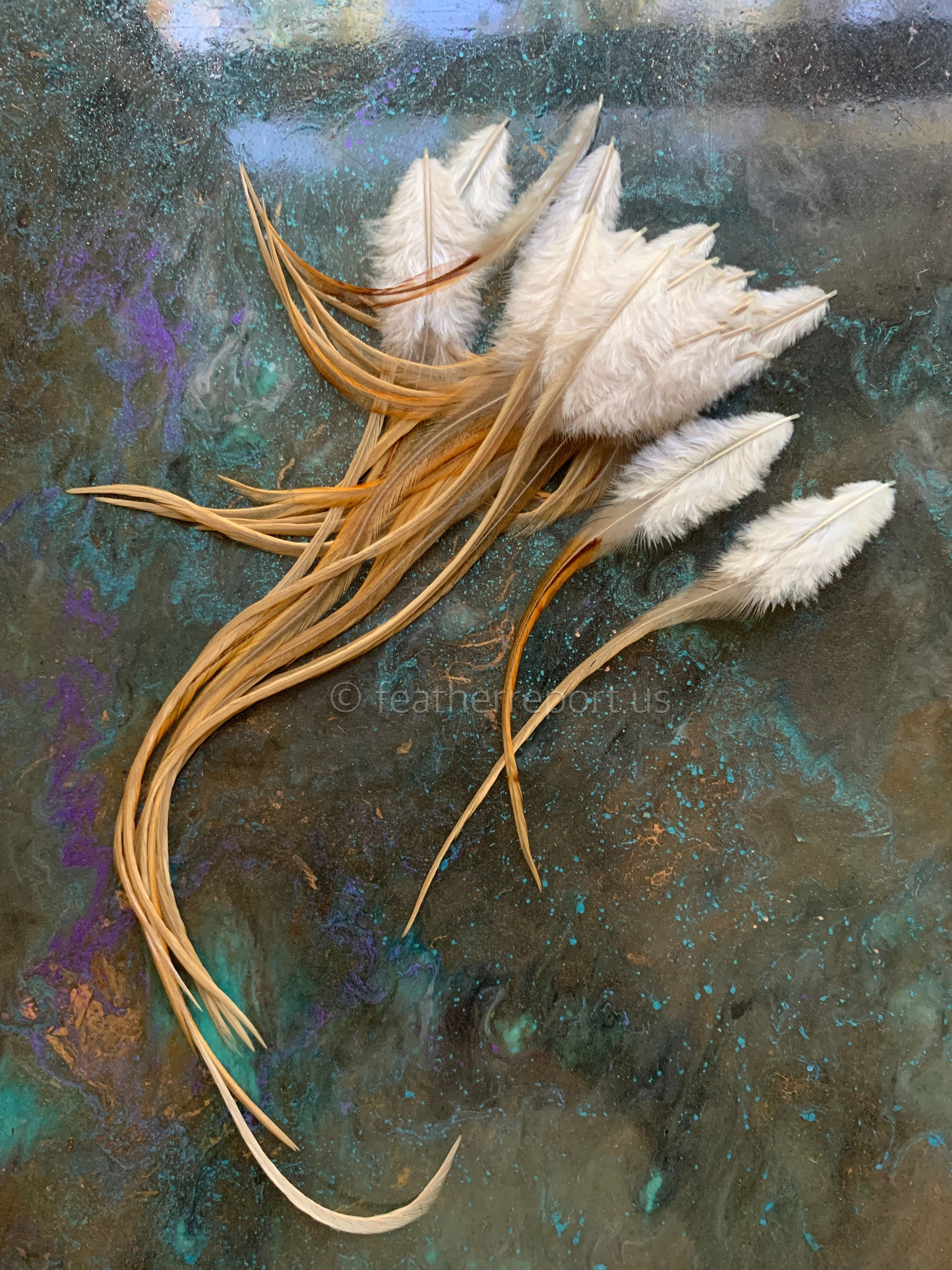 Honey Tan Natural Real Rooster Feathers for Crafts Bulk