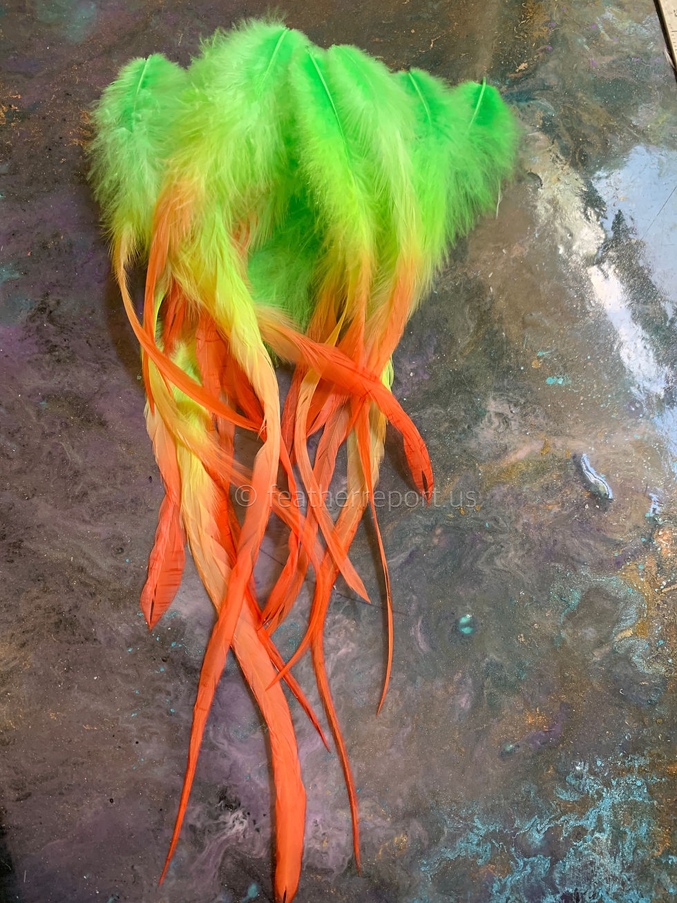 Thumbnail: Rainbow Craft Feathers Tropical Fruit Salad WYSIWYG 25 7to12inch