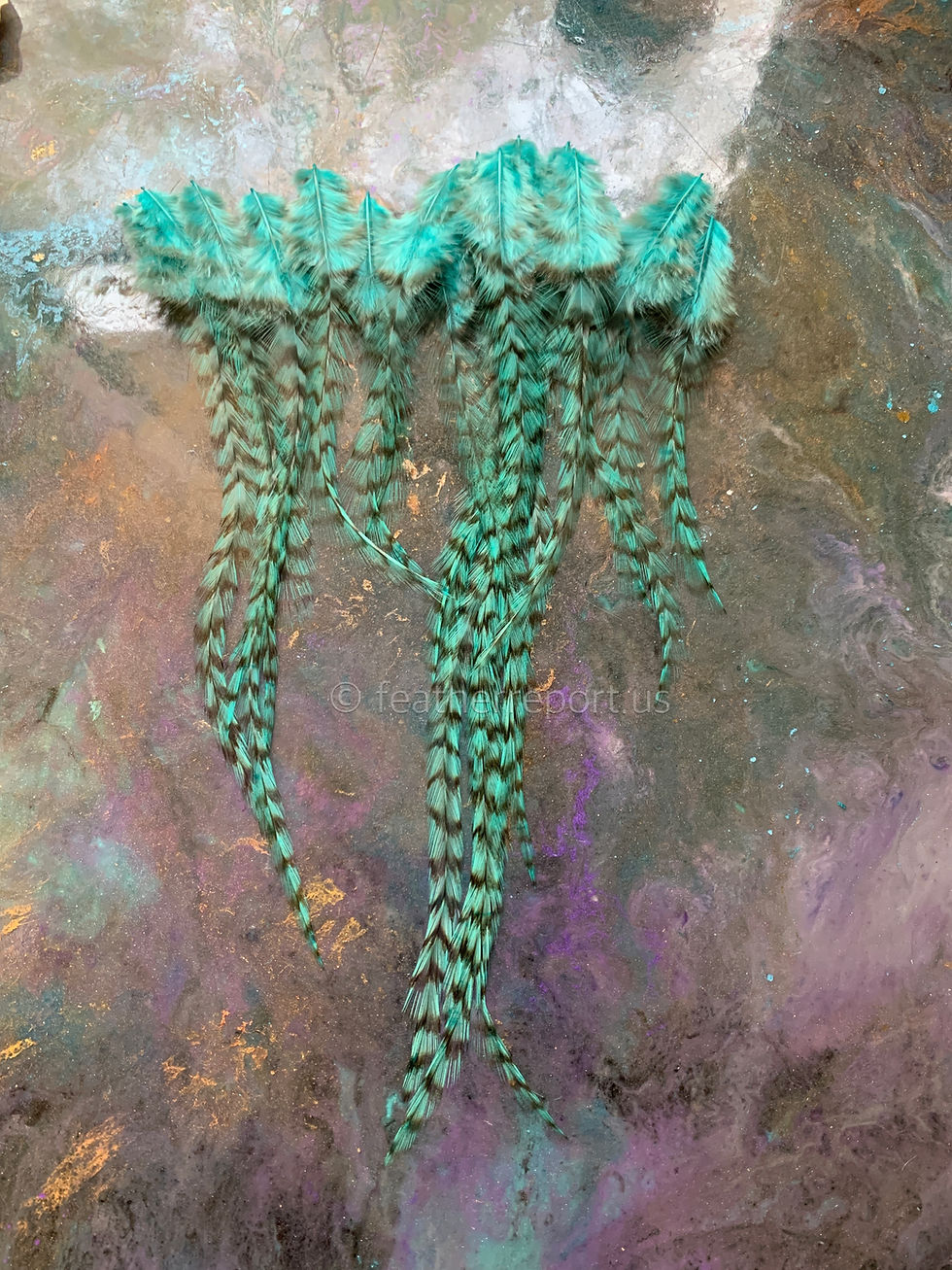 Thumbnail: Barred Aqua Tropic Feathers Rooster Craft Supplies x21