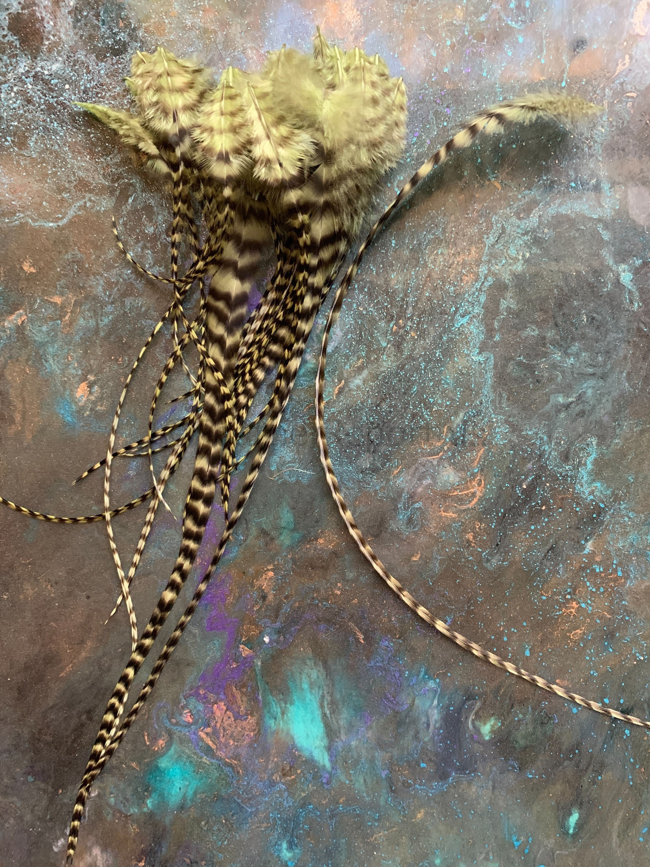 Pistachio Grizzly Rooster Feathers for Crafts