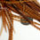 Thumbnail: Dark Barred Ginger Feather Hair Extensions Wholesale Hair Feathers 10Pack