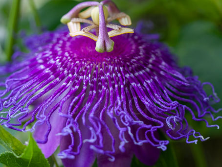 Who Moved my Cheese!!