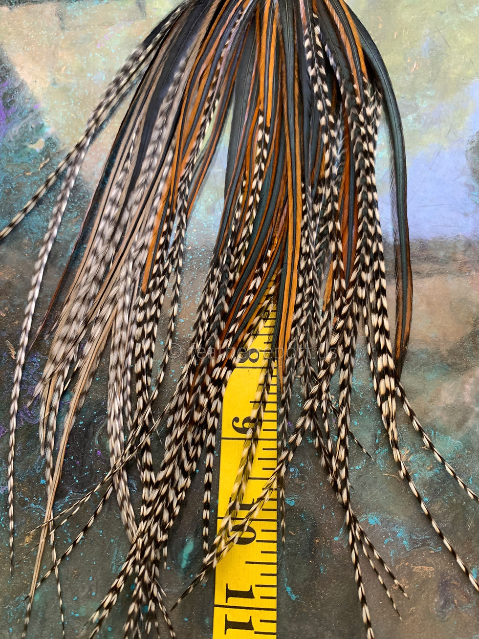 Long Natural Rooster Earring Feathers Furnace Grizzly Variant