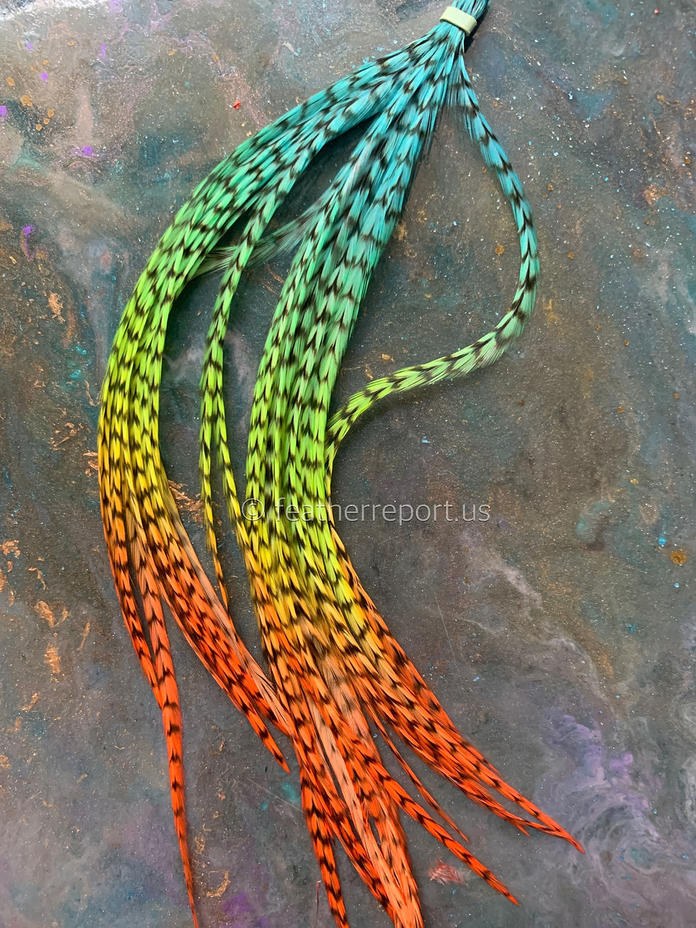 Grizzly Rooster Feathers for Earrings Tropical Rainbow Feathers x 31