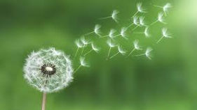 間違いやすい手放し②