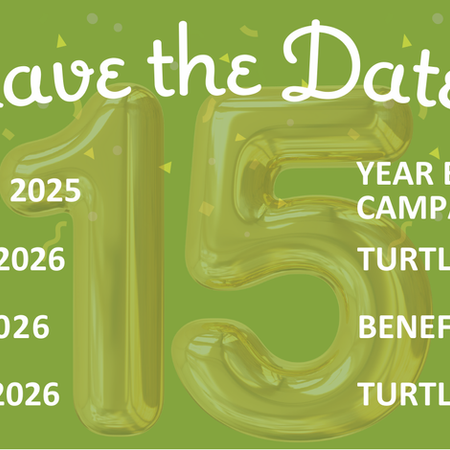 Turtle Wing Foundation Begins Year 15