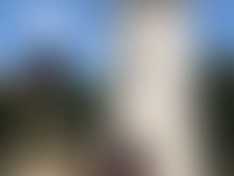 Happy Birthday, Columbus!