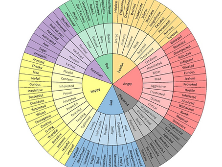 How Emotional Awareness Can Transform Your Relationship with Your Horse