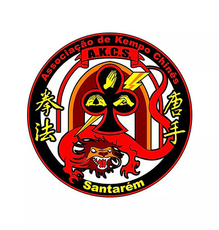Chinese Kempo Santarém