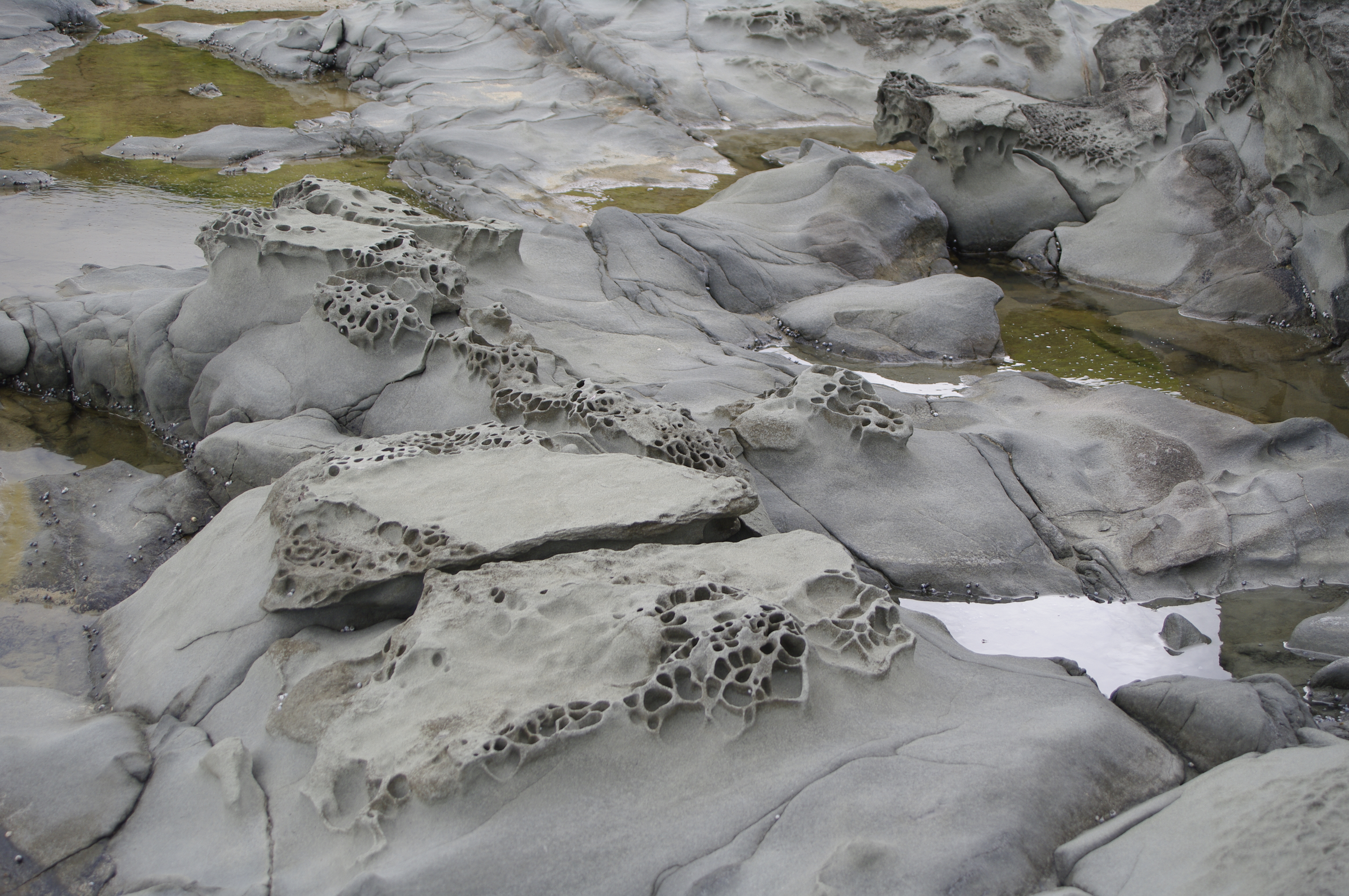 Skenes Creek15 2013