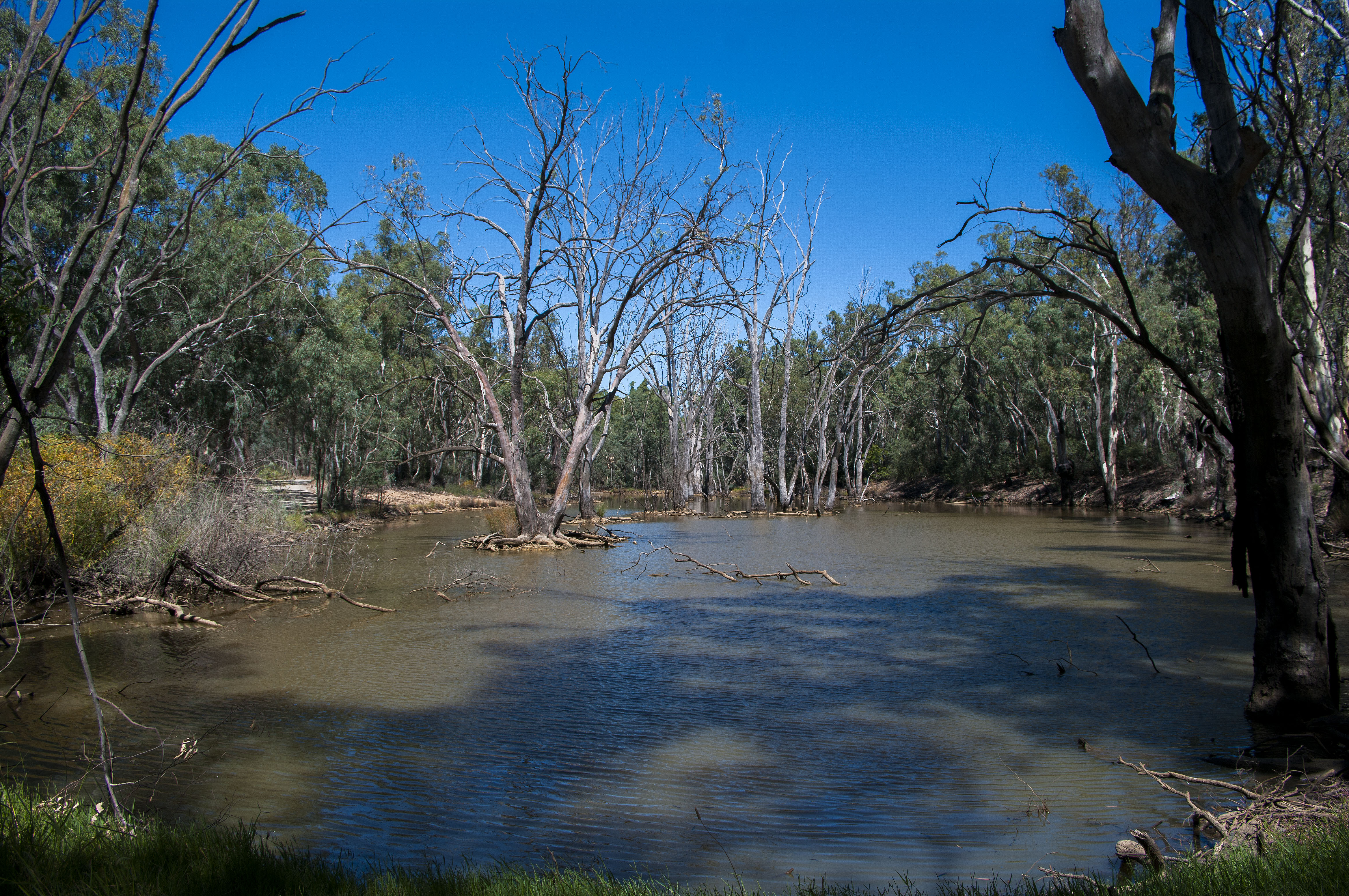 Murray River - Echuca Victoria.