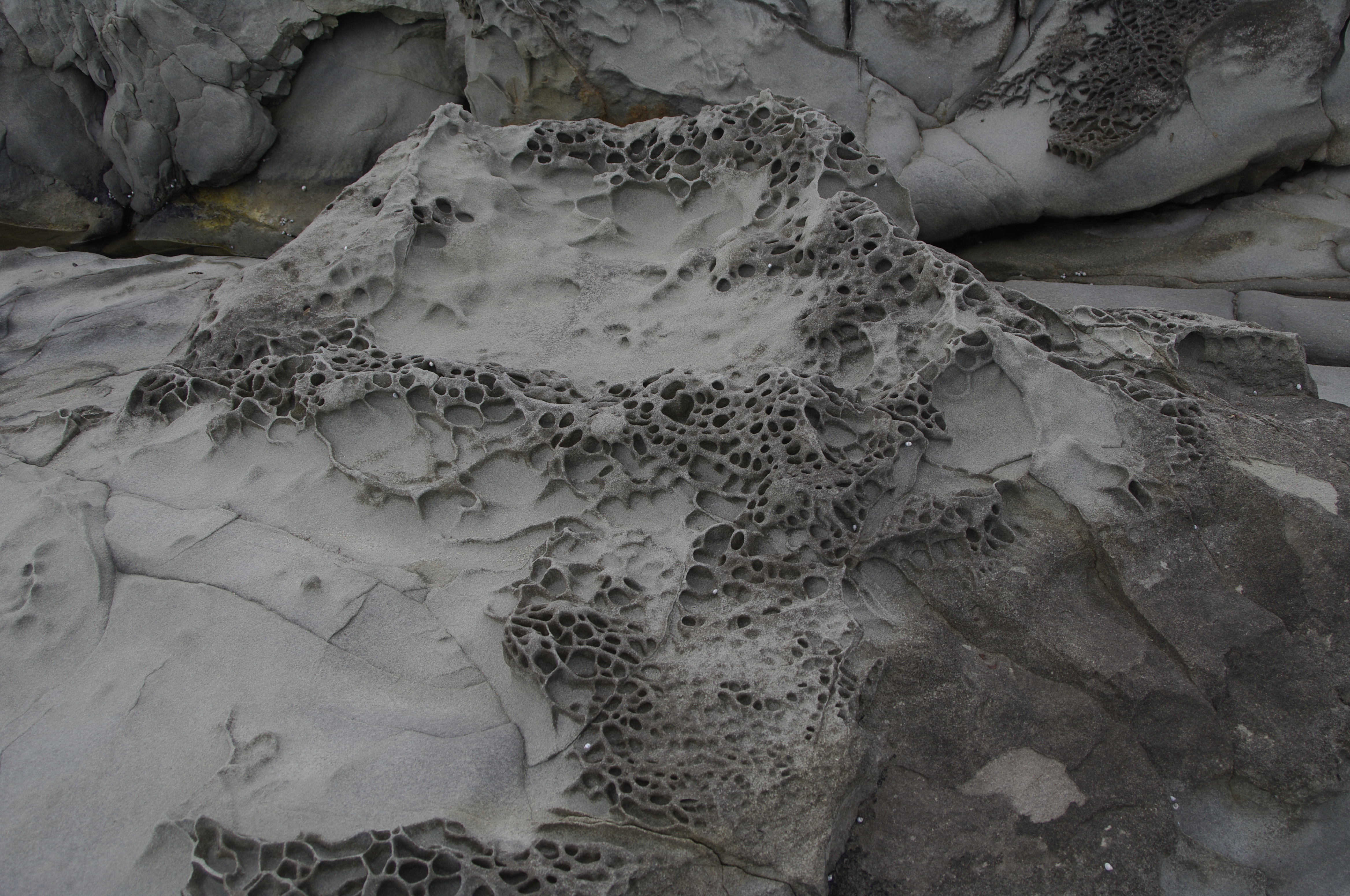 Skenes Creek 13 2013