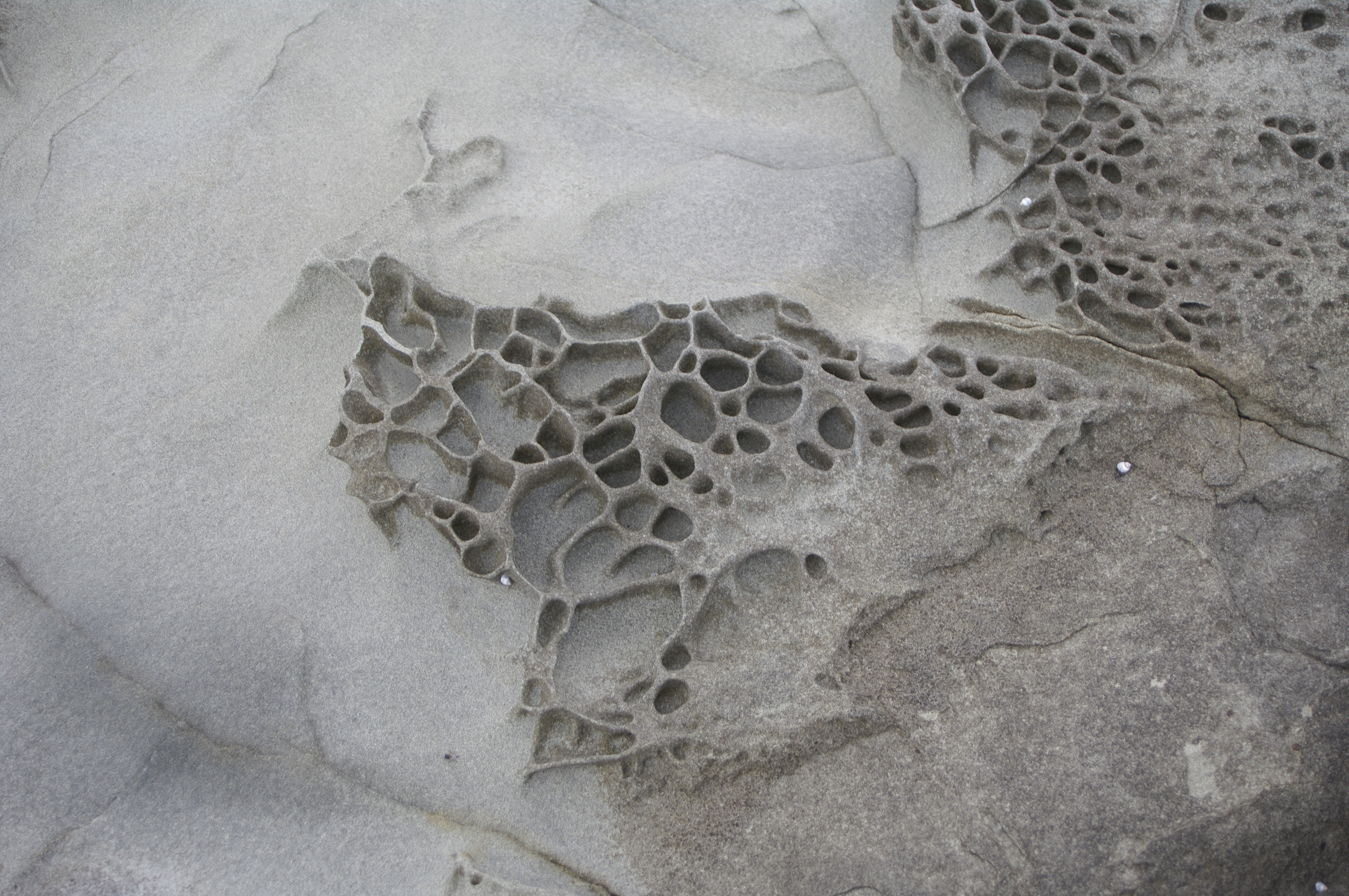 Skenes Creek14 2013