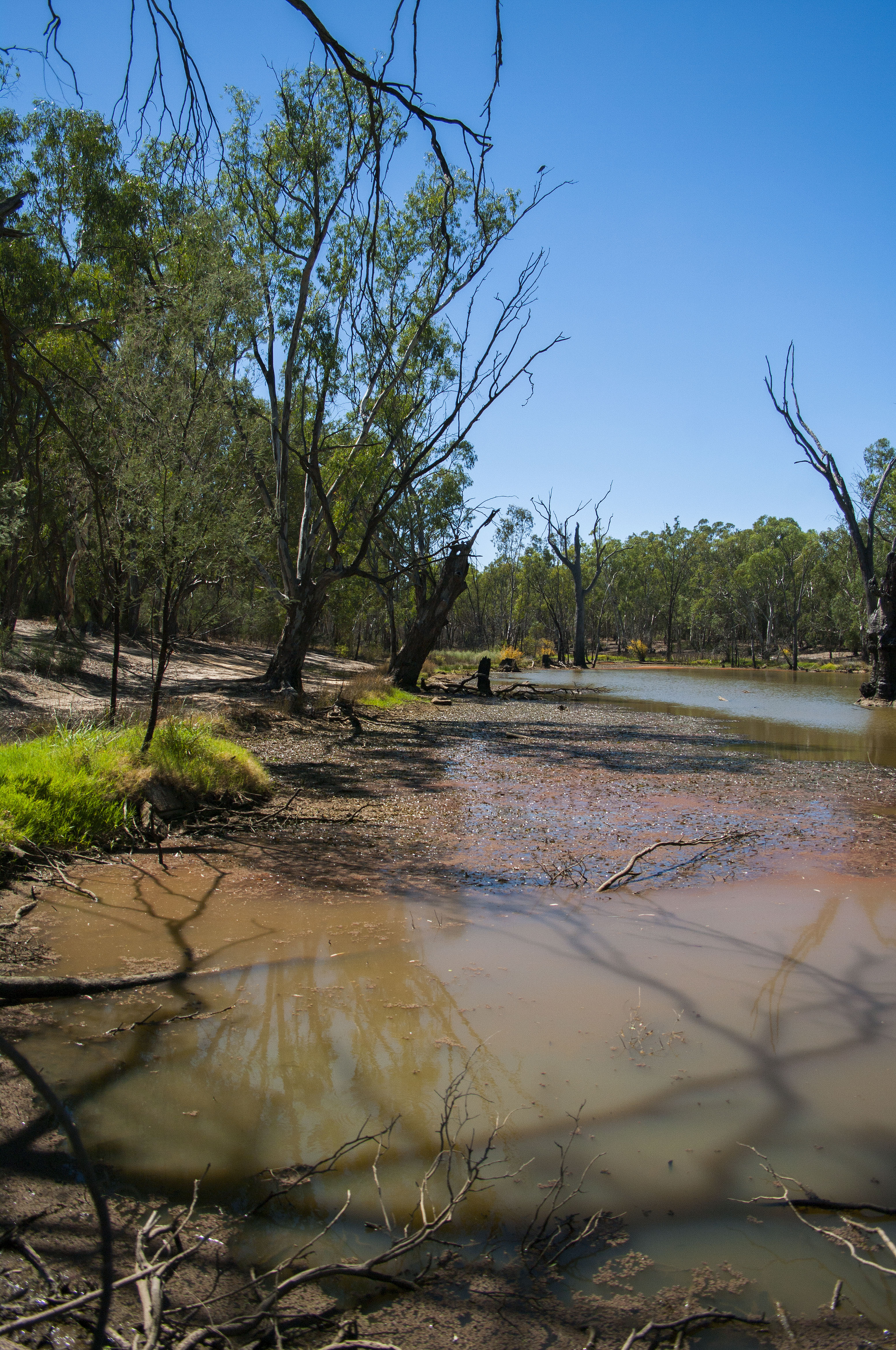 Murray River - Echuca Victoria.