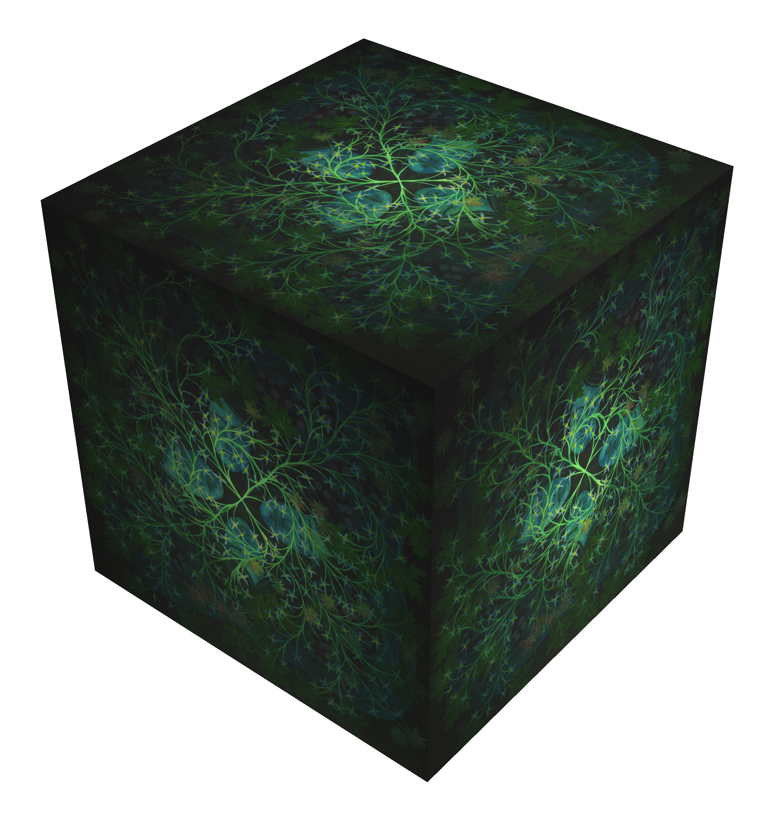 Cube No5