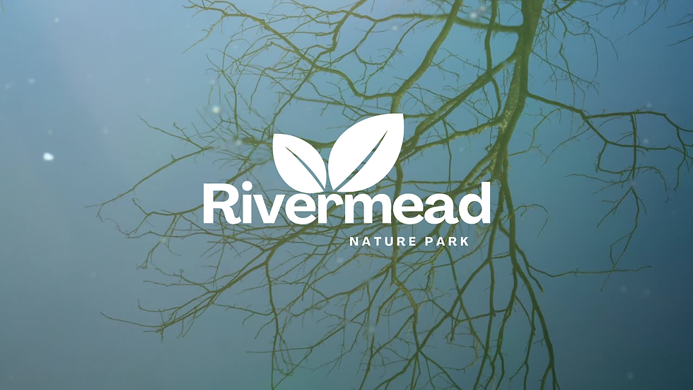 Best Performance in using Film Making