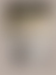 羔 羊 的 筵 席【馮 君 藍 攝 影 裝 置 展】