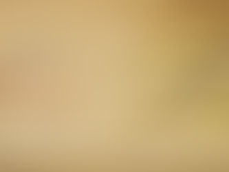 聖經世界觀 特別講座【 聖經植物與地理 】