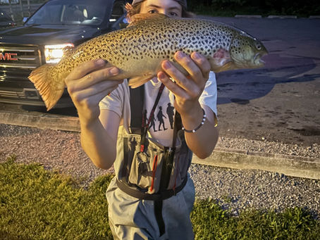 The brown trout of independence