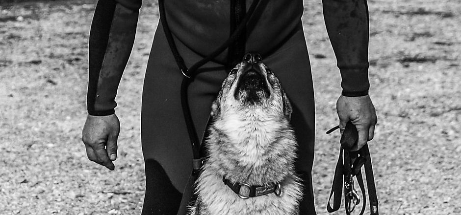 P2229340%20-%20Copie_edited.jpg
