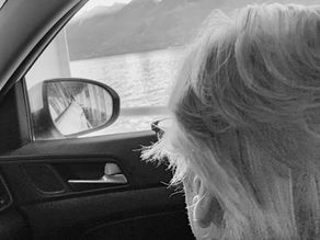 Navigating Heartbreak: The Loss in Dementia