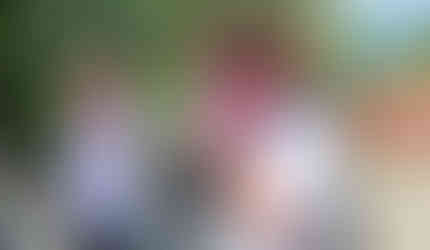 現採的火龍果就是好吃