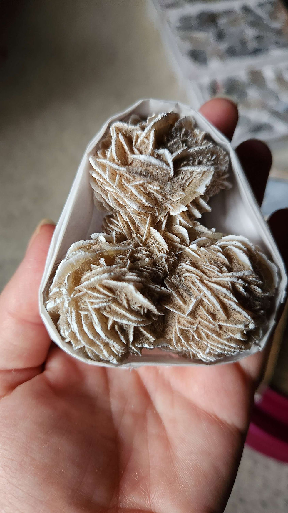 Thumbnail: Desert Rose Selenite