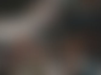 Slovenec sem – in na Franjo grem! (2)