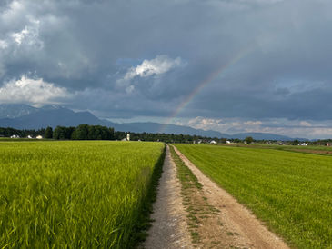 Cestni tek in trail tek