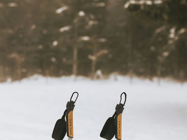 Kako izbrati palice za tek na smučeh?