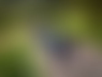 Slovenec sem – in na Franjo grem! (5)