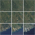 landcover square.jpg