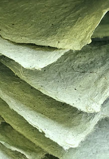 nettle paper 3.jpg