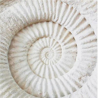 Caracol