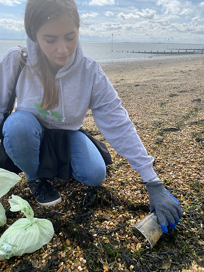 Beach clean