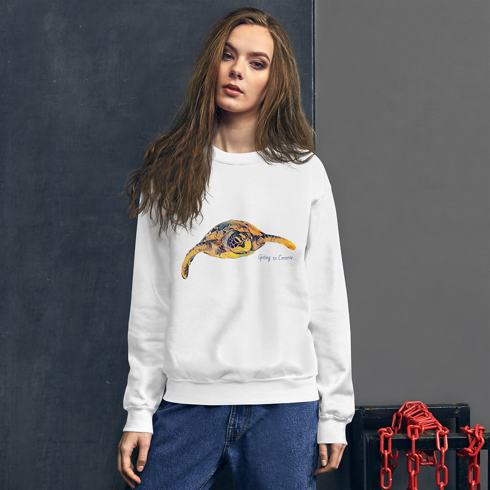 Miniature : turtle sweatshirt