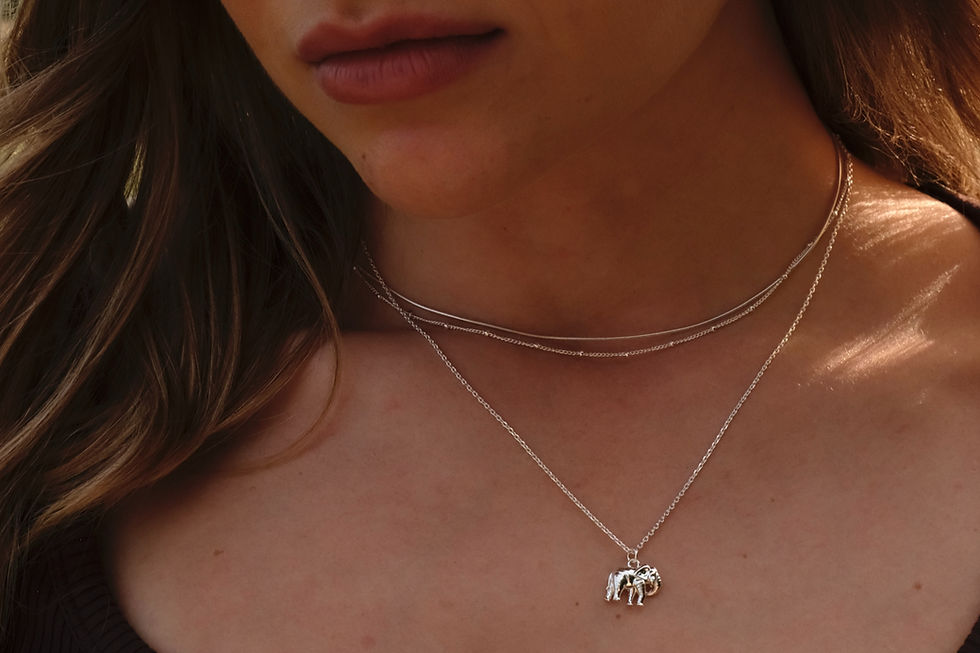 Miniature : elephant necklace