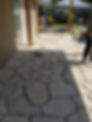 Resized_20190815_113926.jpeg
