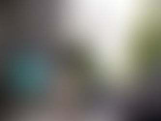 Topping-out ceremony of the residential project for Otto Wulff in Berlin