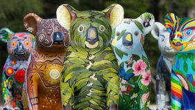 What's on in September & October 2022 on the Mid North Coast