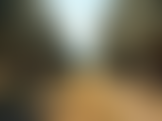 Discover Puglia's Best with Bptours