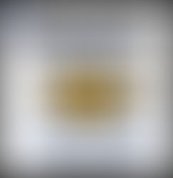 Janissary Celebrates 10 Years of Service, Growth, and Trusted Protection